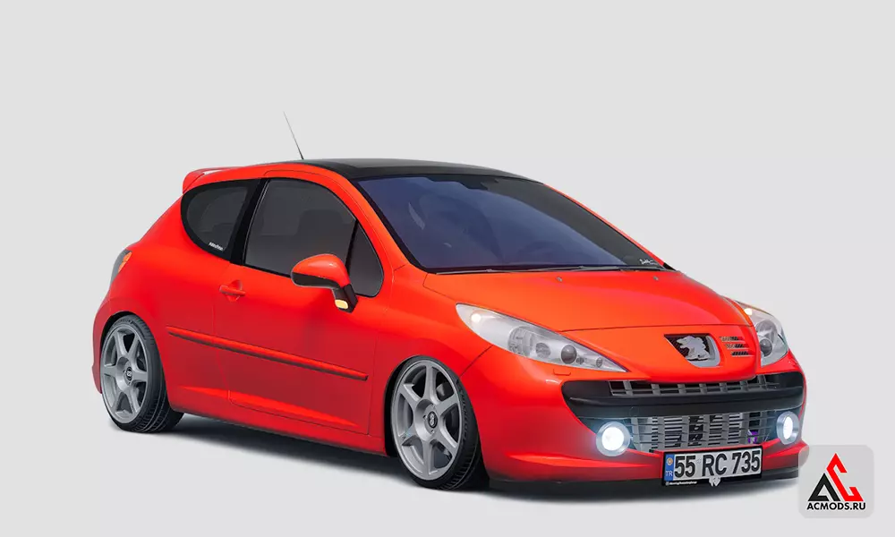06 YGT 53 - Peugeot 207 THP RC Stage 3+