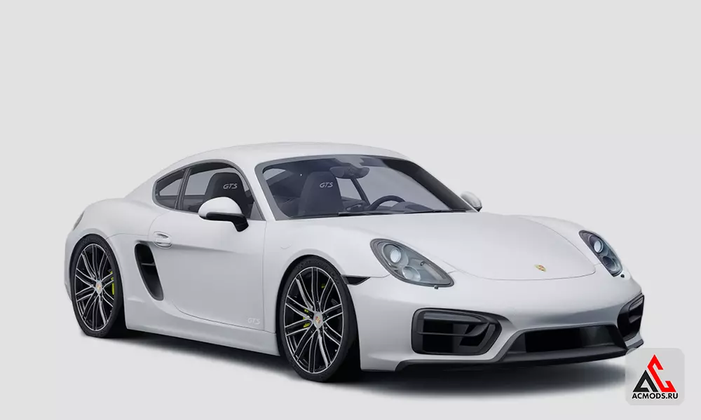 Porsche Cayman GTS 981 | TGN x Prvvy x Wheres981