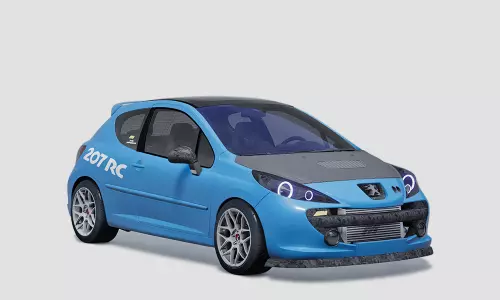 Kas Peugeot 207 RC - GTX 3076R